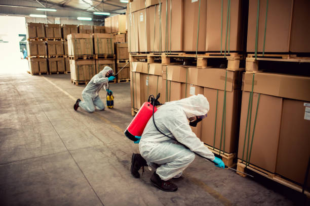Best Mosquito Control Services  in Silver Ridge, NJ
