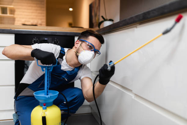 Best Emergency Pest Control  in Silver Ridge, NJ