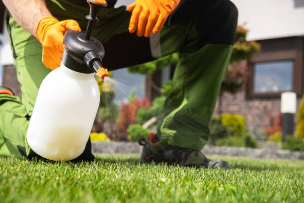 Best Ant Control Services  in Silver Ridge, NJ