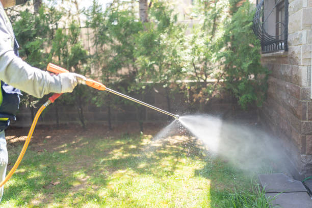 Best Pest Control for Restaurants  in Silver Ridge, NJ