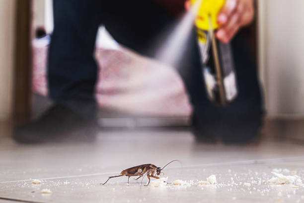 Best Pest Inspection Near Me  in Silver Ridge, NJ