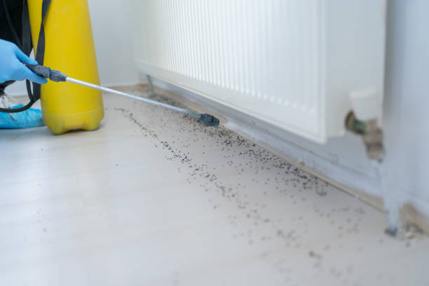 Best Rodent Control Near Me  in Silver Ridge, NJ
